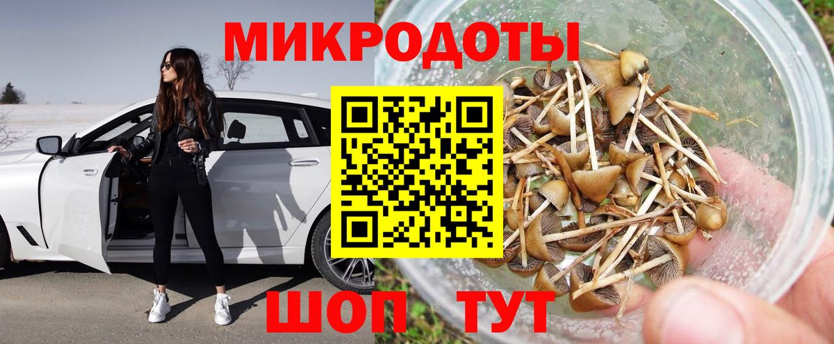 Псилоцибиновые грибы Psilocybe  Вход с VPN  Улан-Удэ 